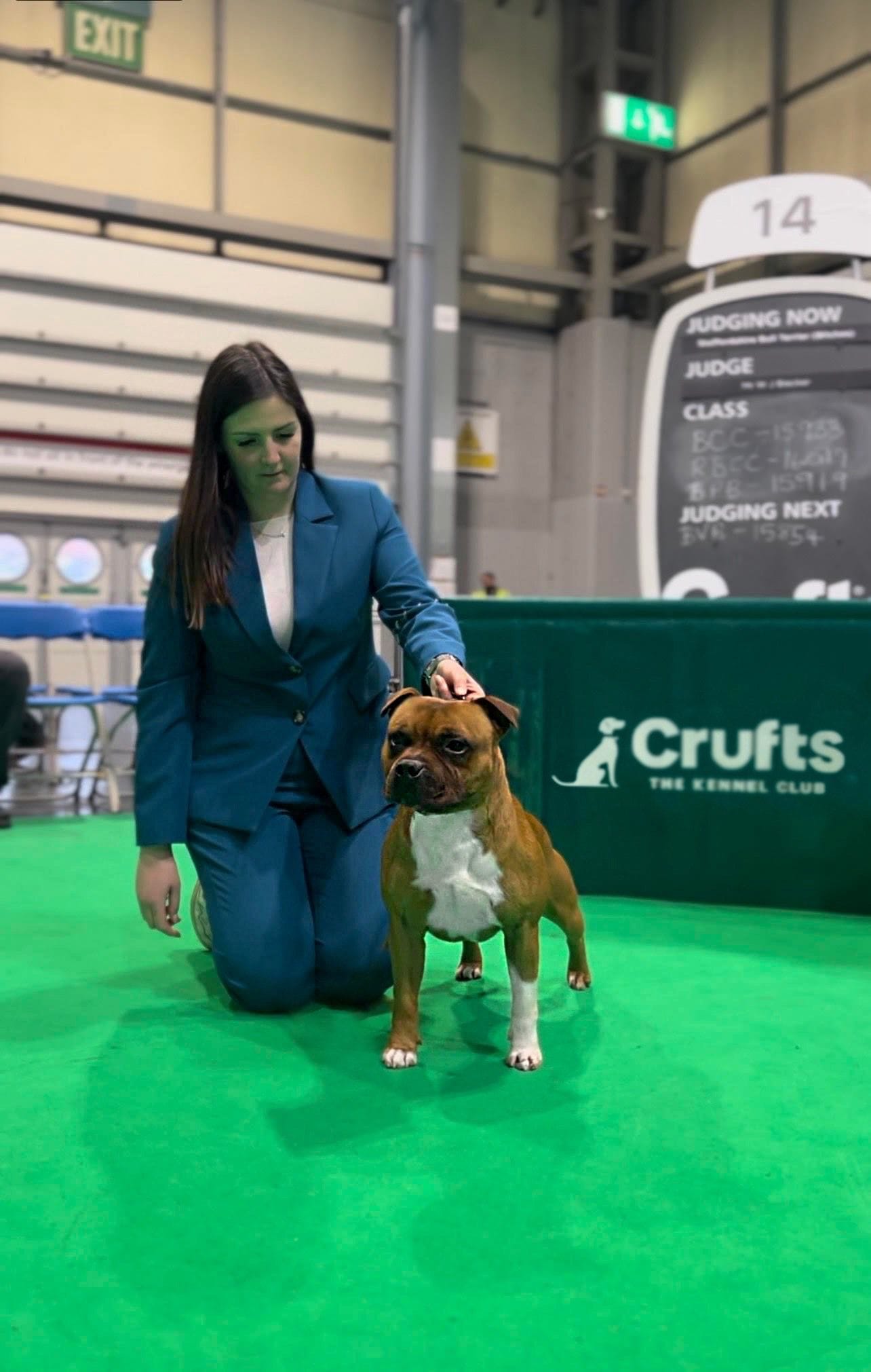 HEAT al Crufts - La più importante esposizione canina al mondo